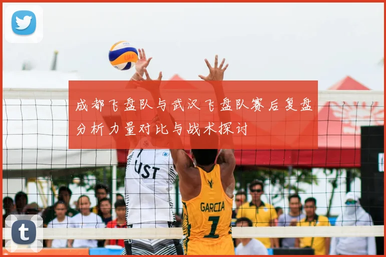成都飞盘队与武汉飞盘队赛后复盘分析力量对比与战术探讨
